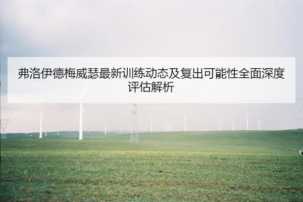 弗洛伊德梅威瑟最新训练动态及复出可能性全面深度评估解析